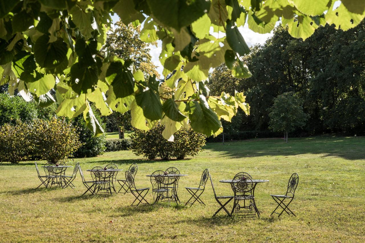 Saint-Antoine-du-Rocher Chateau D'Ardree Bed & Breakfast エクステリア 写真