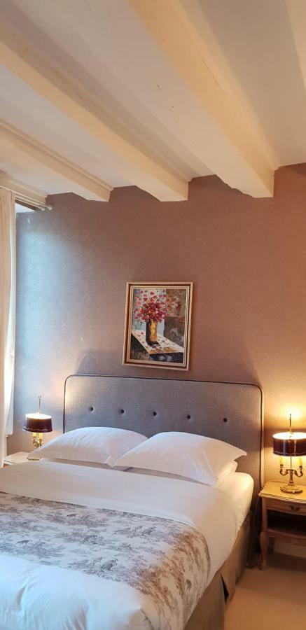 Saint-Antoine-du-Rocher Chateau D'Ardree Bed & Breakfast エクステリア 写真