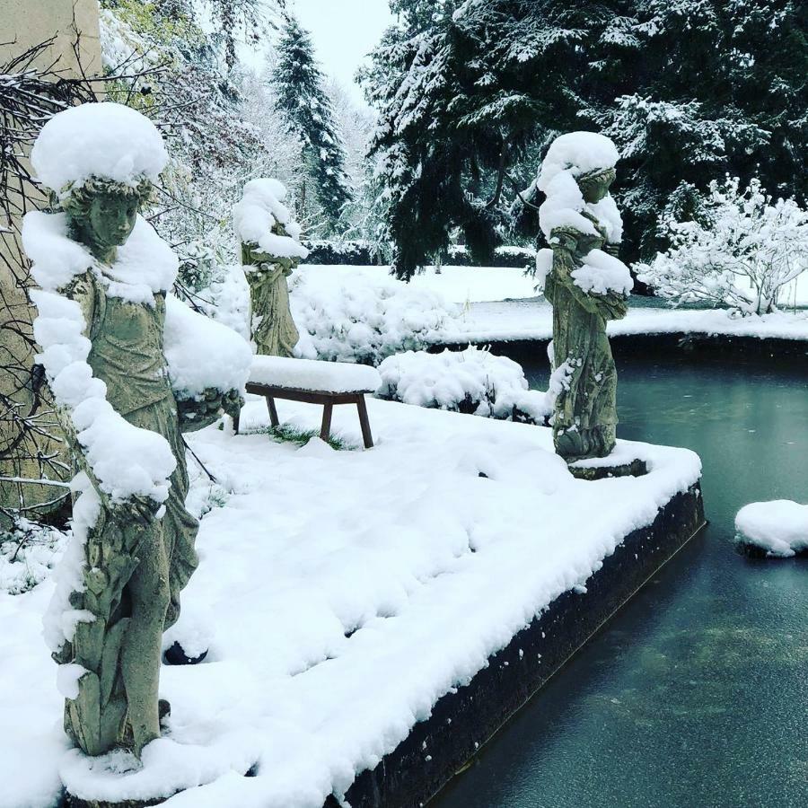 Saint-Antoine-du-Rocher Chateau D'Ardree Bed & Breakfast エクステリア 写真